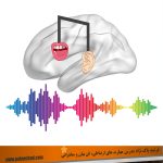 استفاده از کلمات زیبا در مکالمه